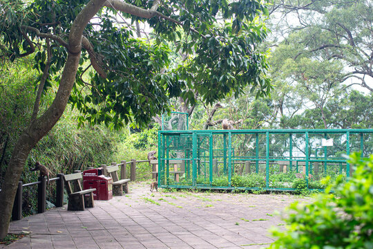 Visitors watch animals in a small wildlife enclosure near the park during the day