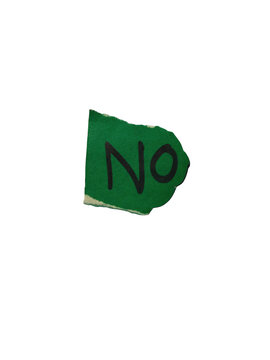 Green abstract triangle with letter N icon