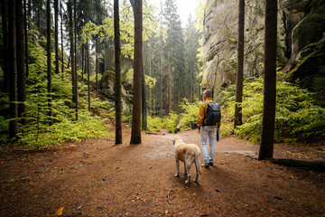 Obraz premium Tourist walking with his Labrador retriever dog on path between massive sandstone rocks in forest in Bohemian Paradise. Outdoor hiking adventure, Czech republic nature travel and pet concept.