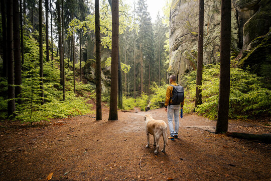 Tourist walking with his Labrador retriever dog on path between massive sandstone rocks in forest in Bohemian Paradise. Outdoor hiking adventure, Czech republic nature travel and pet concept.