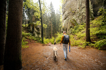 Fototapeta premium Tourist walking with his Labrador retriever dog on path between massive sandstone rocks in forest in Bohemian Paradise. Outdoor hiking adventure, Czech republic nature travel and pet concept.