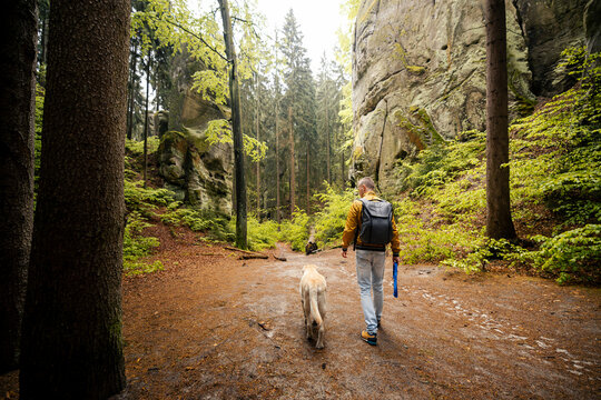 Tourist walking with his Labrador retriever dog on  path between massive sandstone rocks in forest in Bohemian Paradise. Outdoor hiking adventure, Czech republic nature travel and pet concept.