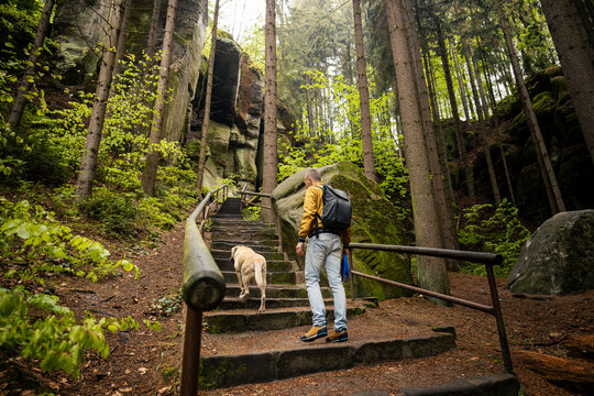 Tourist walking with his Labrador retriever dog on narrow path between rocks in forest in Bohemian Paradise. Outdoor hiking adventure, Czech republic nature travel and pet companionship concept.