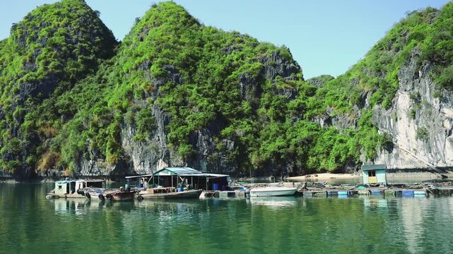 A floating fishing village with rustic boats and dwellings set against towering limestone karsts covered in tropical vegetation in Ha Long Bay, Cat Ba Island, Vietnam.