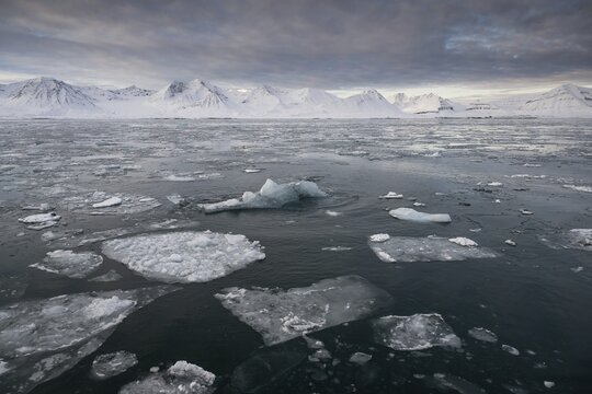 Pieces of ice float in the fjord, Kongsfjord or Kongsfjorden, Spitsbergen archipelago, Svalbard, Norway