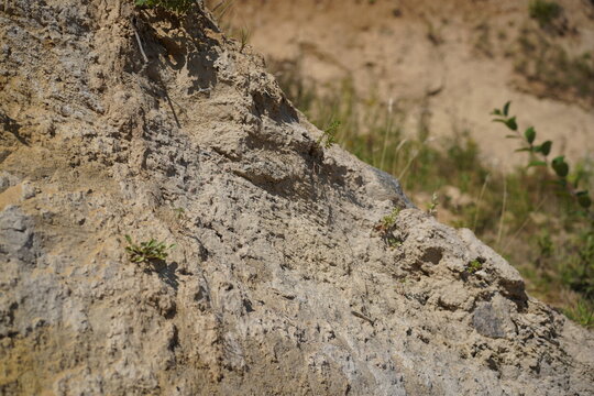 Detailaufnahme der erodierten Erdschichten und der Textur an der Steilk&uuml;ste bei Sierksdorf an der Ostsee
