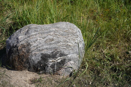 Findling aus der Weichsel-Kaltzeit auf der Steilk&uuml;ste der Ostsee in der L&uuml;becker Bucht bei Sierksdorf