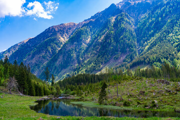 Obraz premium Scenic nature of mountain river. Mountain forest. Wild forest. River with mountain landscape. Landscape on lake at meadow. Untouched wilderness. Nature landscape. River in scenic nature