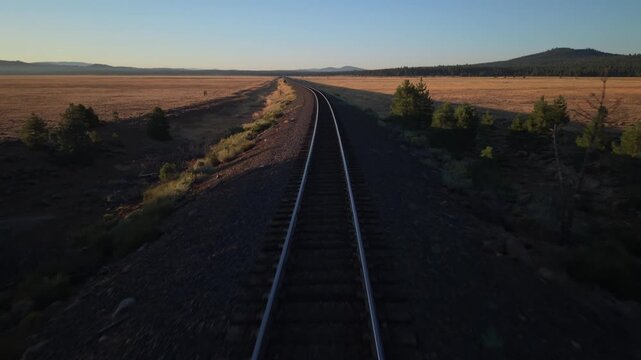 Drone low flyover along railroad tracks from pine forest shade into open morning sunlight, Bogard Flat, Lassen County, California.