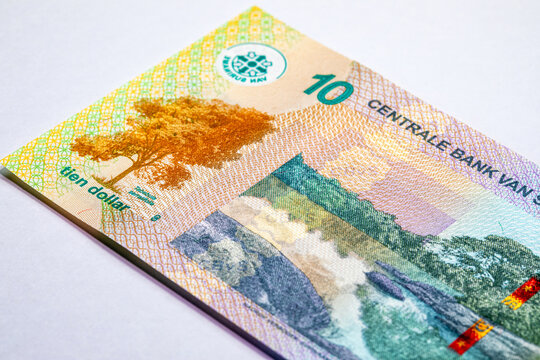 10 Dollars Suriname banknote featuring the Suriname River landscape with rocky rapids, yellow lapacho tree. New money Suriname. Money of America.
