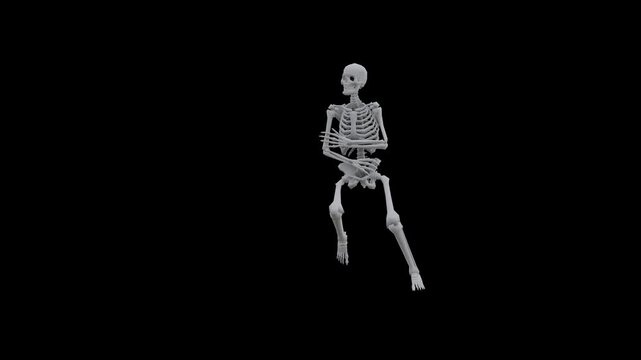 Funny Skeleton Dancing and Posing 3D Character Loop with Alpha Channel