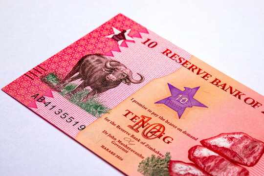10 Zimbabwe ZiG banknote showing an African buffalo and balancing rocks. New Zimbabwe money. African currency. World money.