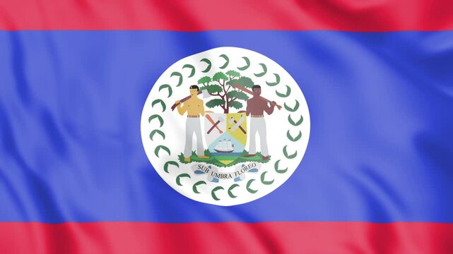 Belize Flag Loop animation