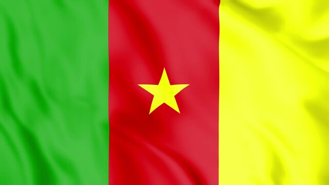 Cameroon Flag Loop animation
