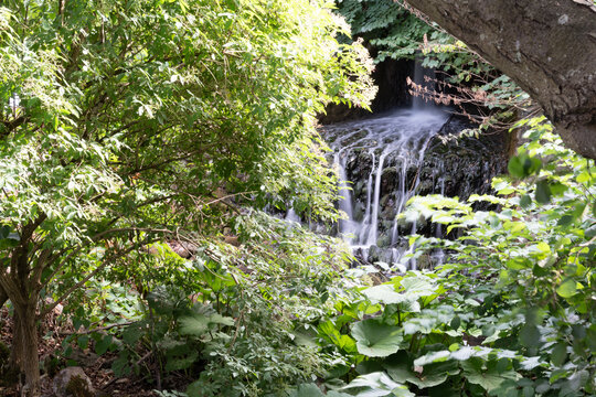 Green forest waterfall cascading through lush foliage