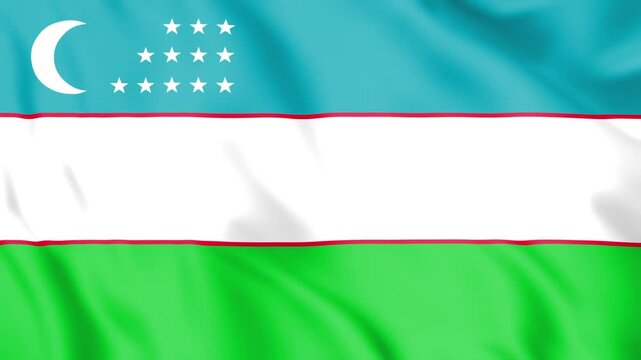 Uzbekistan Flag Loop animation