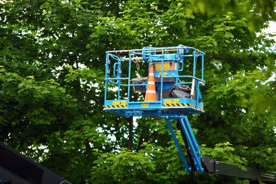 Elevated blue aerial lift basket with safety cone and tools positioned against dense green tree foliage for urban maintenance service. Cherry picker platform elevated high among lush green tree leaves