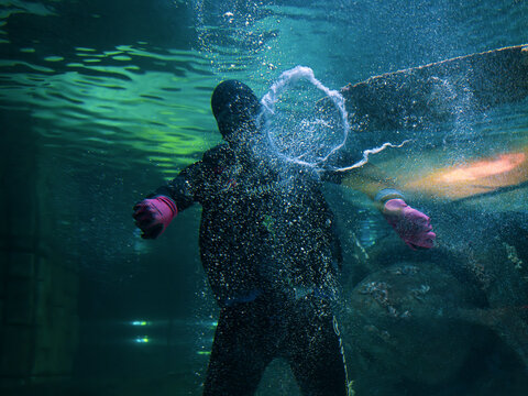 Diver performing bubble ring tricks in a tropical marine aquarium