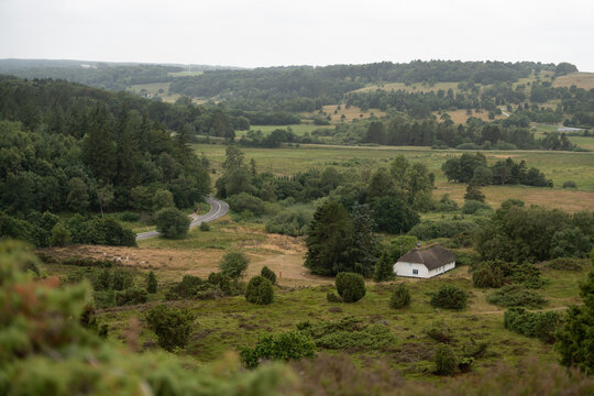 Rural Valley Landscape With Fields, Trees and Farm House