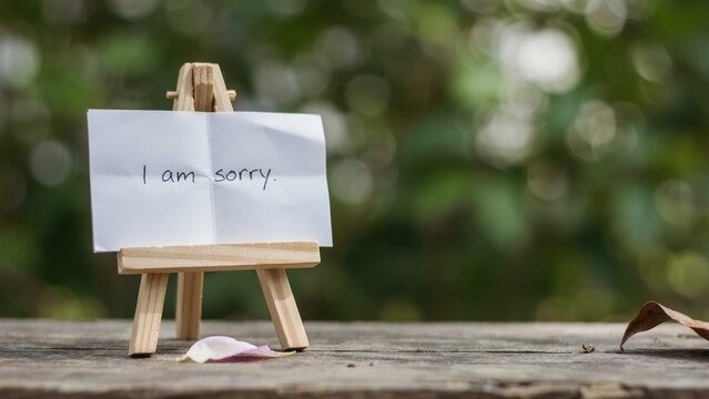 Handwritten Sorry Message On Wooden Easel