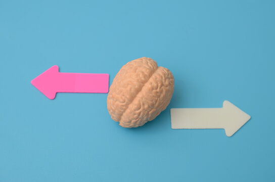 Critical Thinking and Difficult Decision Between Two Options