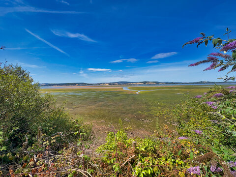 Scenic View Across the Exe Estuary Towards Starcross and Devon Hills from Exmouth, UK
