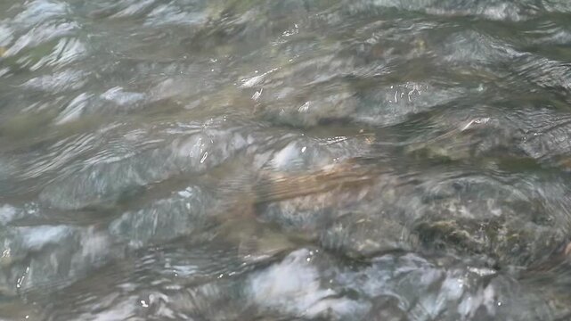 Details and texture of river water movement at moderate speed