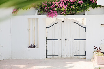 Fototapeta premium White Mediterranean building and Bougainvillea in Mediterranean Town