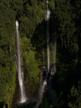 Two cascading waterfalls surrounded by dense green foliage create a serene natural scene. The water flows against a dark backdrop, highlighting the lush environment.