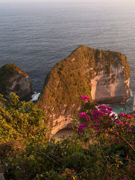 A scenic view of a rocky coastline overlooking the ocean. Lush greenery and vibrant pink bougainvillea flowers frame the foreground. The sky displays warm sunset colors.