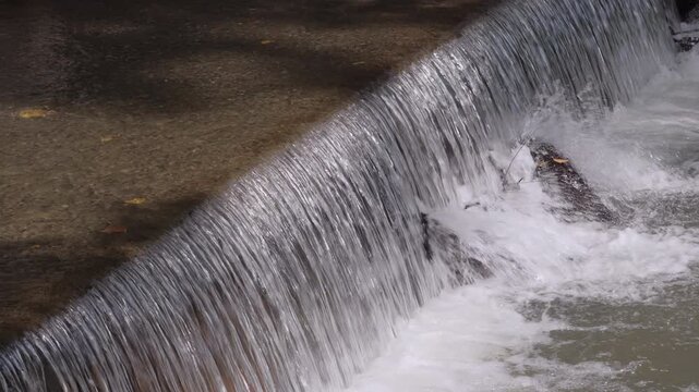 Water rushing over check dam weir spilling into rocky stream with white foam in morning daylight, water management system concept