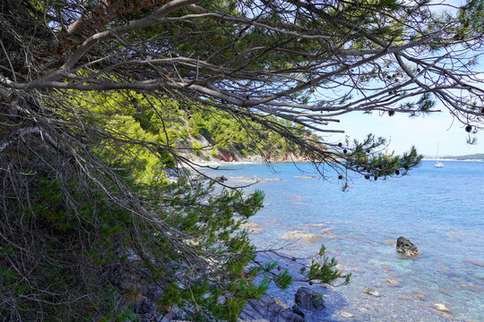 Plage de Fabr&eacute;gas in la seyne sur mer