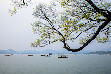 Spring Scenery of West Lake, Hangzhou, Zhejiang, China © 墨枫
