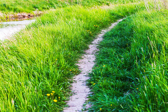 Close up view of narrow dirt path winding through grass beside river. Sweden.