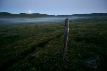 Fototapeta premium Alpine tundra at twilight with ground fog and boundary post