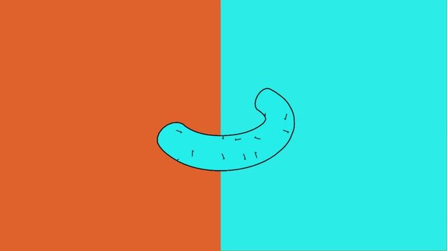 Minimalist Curvy Sausage Featuring A Simple Linear Outline Set Against A Bold Split Background Of Vibrant Orange And Turquoise