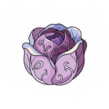Single purple cabbage stylized vegetable with bold outlines and layered leaves red cabbage isolated