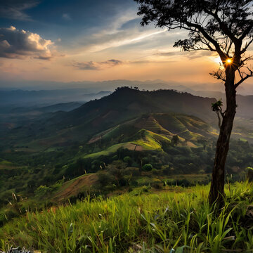 The area of ​​Khao Plok Lon Khao Kho National Reserved Forest is a fertile forest area larger than three hundred thousand rai.