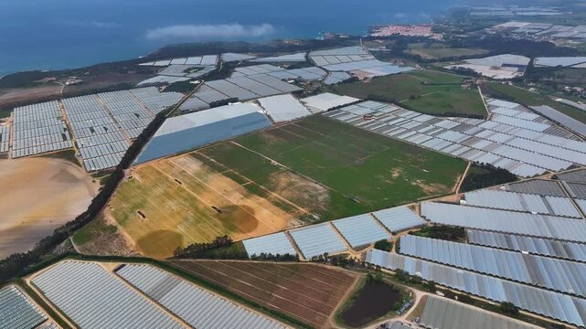 Aerial view of a polytunnel farm with plastic greenhouses in a commercial greenhouse complex