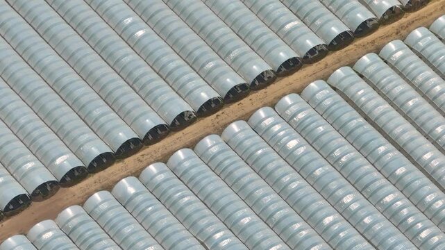 Aerial view of a polytunnel farm with extensive plastic greenhouses in a commercial horticulture complex