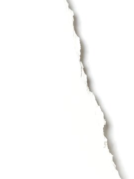 Vertical torn white paper from top to bottom template with shadow against white background