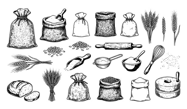 Hand drawn set of baking ingredients flour sacks wheat ears bread and kitchen tools in vintage sketch style