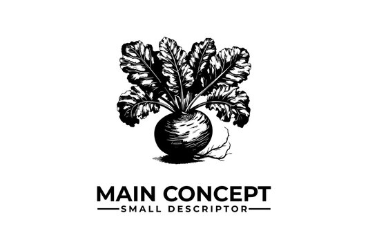 Beetroot vegetable illustration provides a versatile mark for organic culinary business branding.