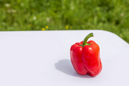 Red bell pepper close-up on a white background with shadow. Fresh red vegetables. 