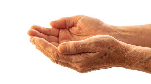 Elderly cupped hands reaching out isolated with together reaching forward on transparent background