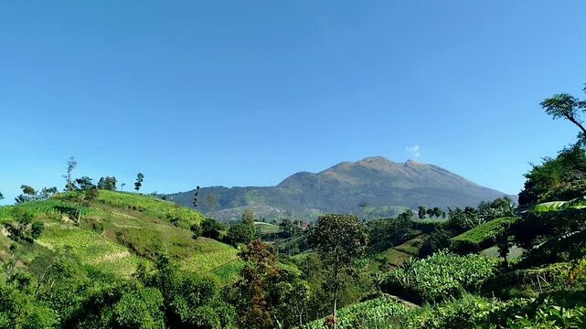 Mount Merbabu in central java view. cool mountain landscape scenery with windy trees. mountain nature background