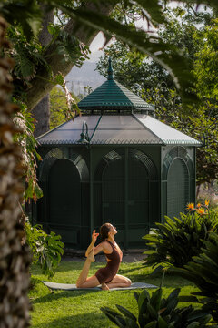 Graceful Yoga Practice in Tropical Park