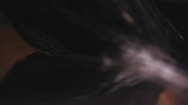 Macro shot of black ink pouring and splashing in clear water