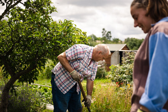 Father digging in the allotment while his daughter looks on smiling