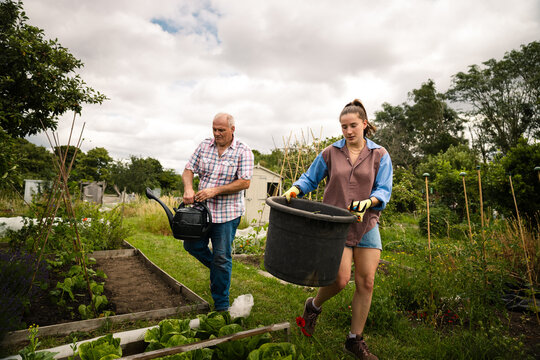 Moving through the plot &mdash; a family at work in their urban allotment